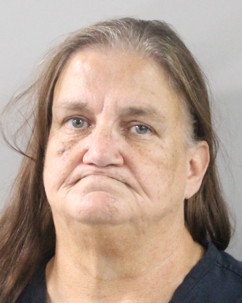 Booking photo of Lisa Glenn