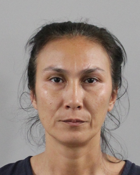 Booking photo of Mehri Kulyyeva
