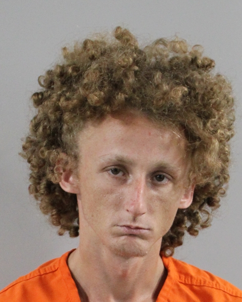 Booking photo of Devvon Williams