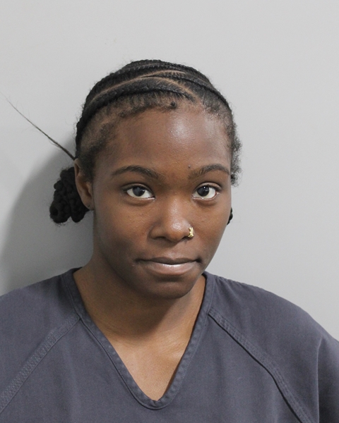 Booking photo of Briunna Young