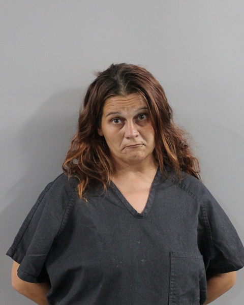 Megan Palmer booking photo