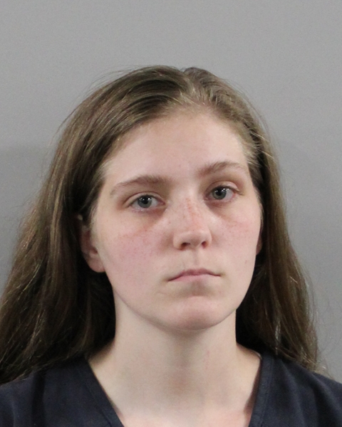 Booking photo of Dystine Trott