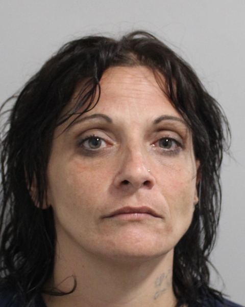 Lisa Gargus booking photo