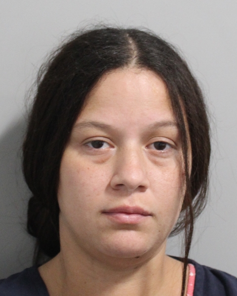 Booking photo of Karimar Rojas Rivera