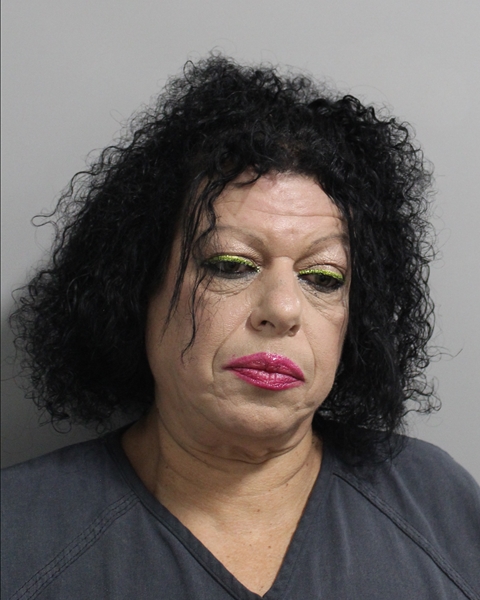 Andreita Sierra booking photo