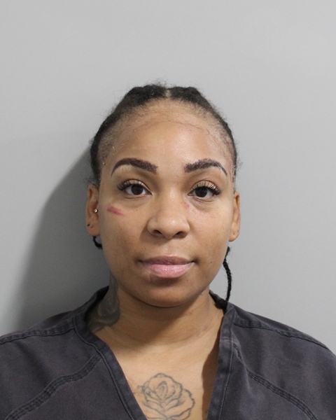 Booking photo of Sade Sowell