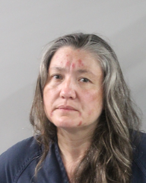 Crystal Heinze booking photo