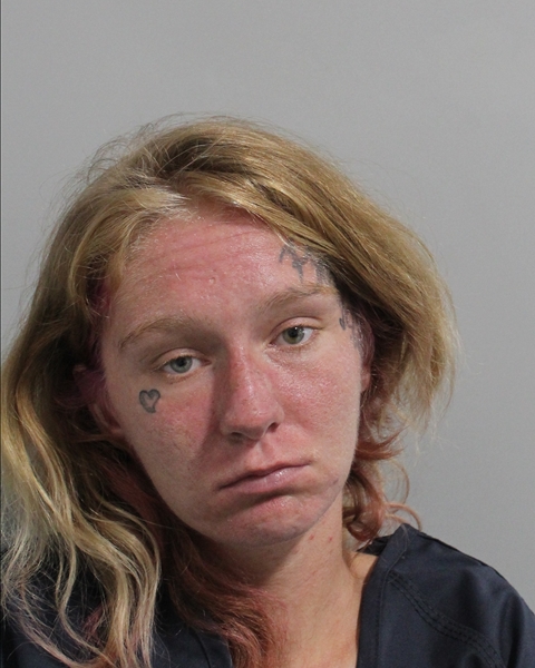 Booking photo of Alyssa Gess