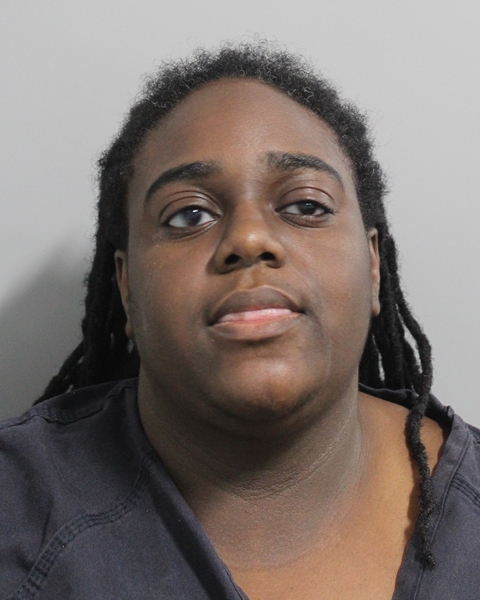 Booking photo of Linbur Linyard