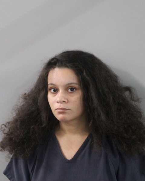 Booking photo of Destiny Santos-rivera