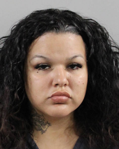 Booking photo of Vyaniz Rivera