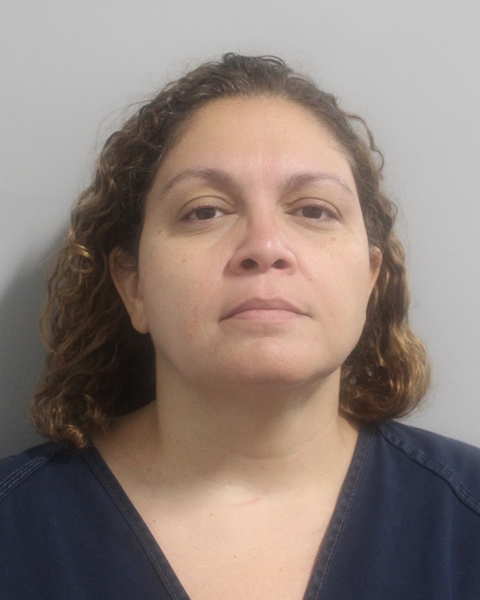Booking photo of Luz Negron-bennett