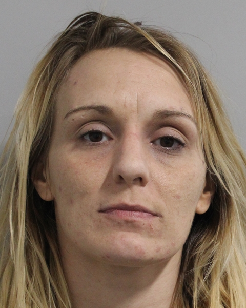Booking photo of Ashley Goforth
