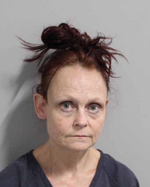 Booking photo of Melondy Ussery