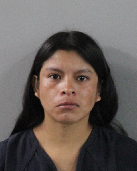 Booking photo of Santiaga Perez