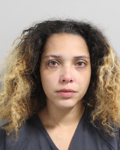 Booking photo of Alexis Rahming