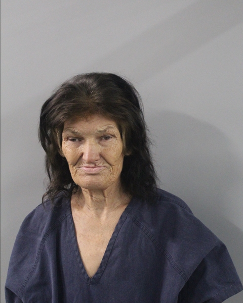 Booking photo of Sheila Woodsby