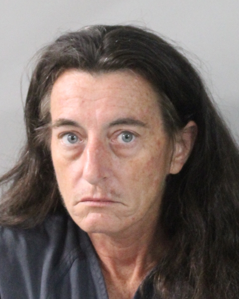 Booking photo of Heather Adams