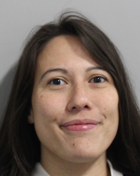 Johanny Ortiz booking photo