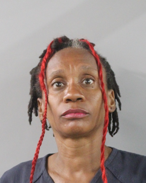 Booking photo of Teresa Stancil