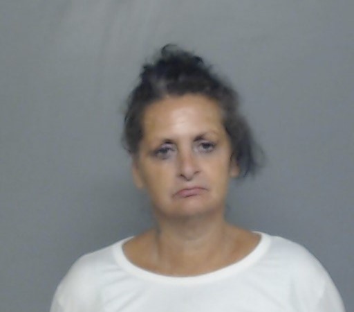 Booking photo of Lisa Hamilton