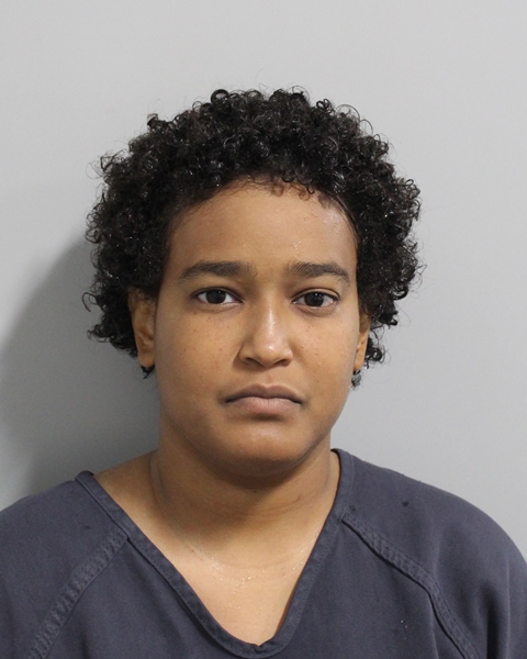 Booking photo of Luz Recarey Almonte