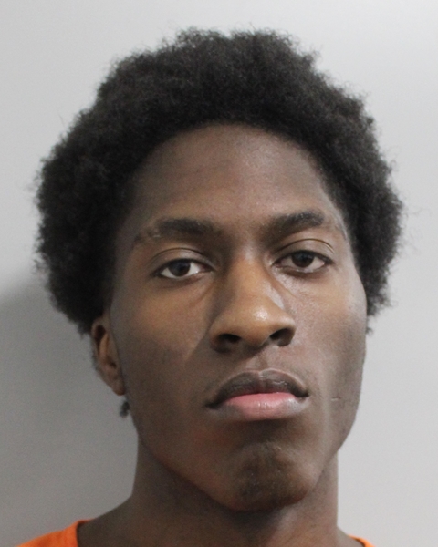 Booking photo of Roy Anderson