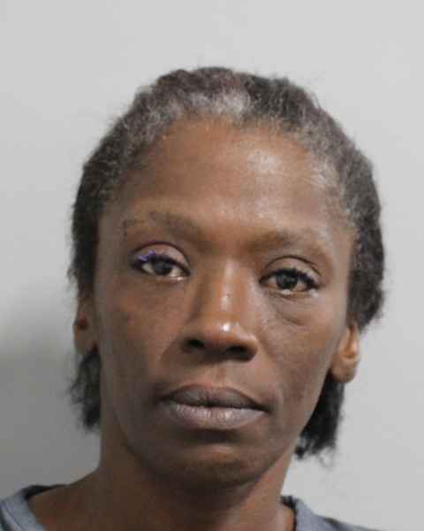 Booking photo of Samantha Lark