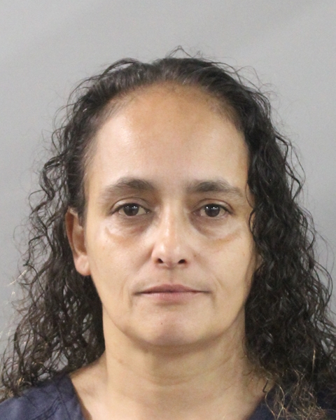 Booking photo of April Mercado