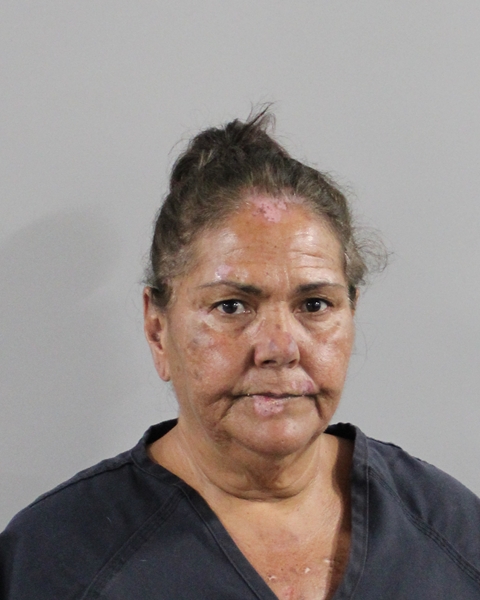 Booking photo of Patricia Perry