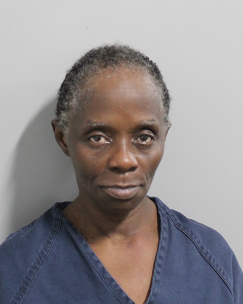 Genevieve Fair booking photo