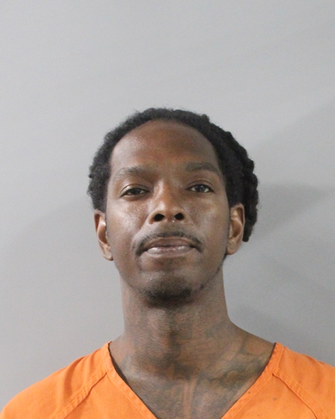 Booking photo of Dominique Bryant
