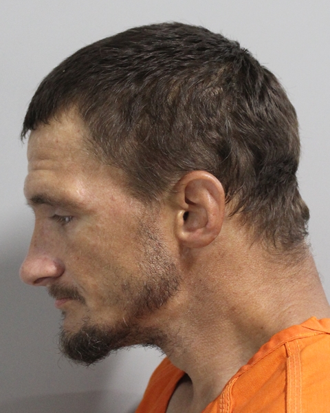 Booking photo of David Avard