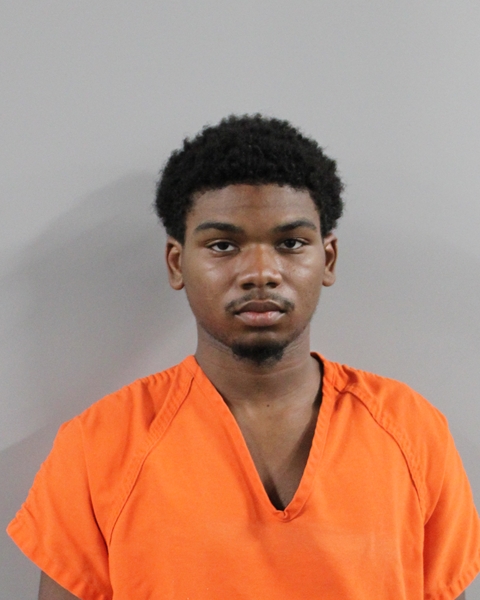 Booking photo of Gibson Louis