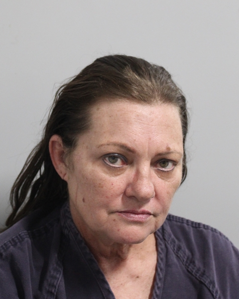 Booking photo of Sheila Anderson