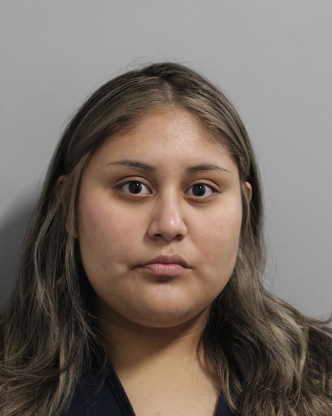 Booking photo of Julissa Becerra
