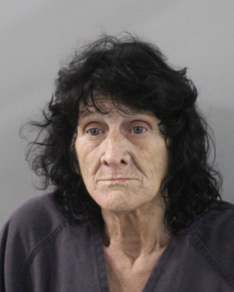Booking photo of Dianne Gedz