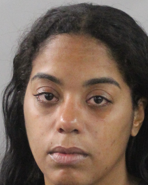 Booking photo of Erica Johnson