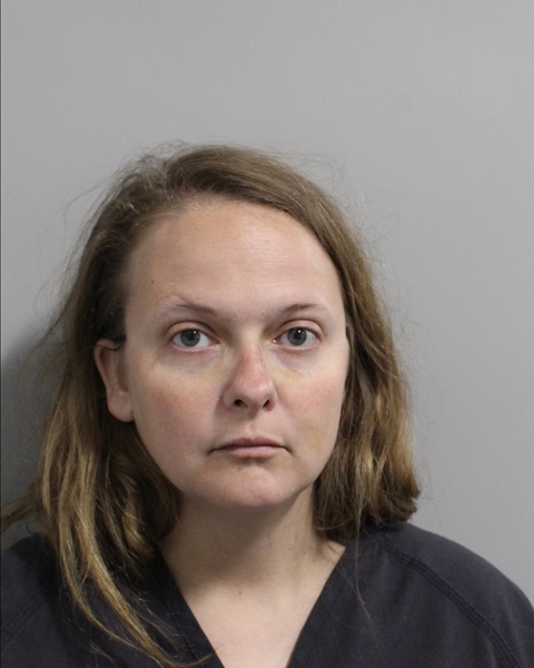 Booking photo of Ashley Albin