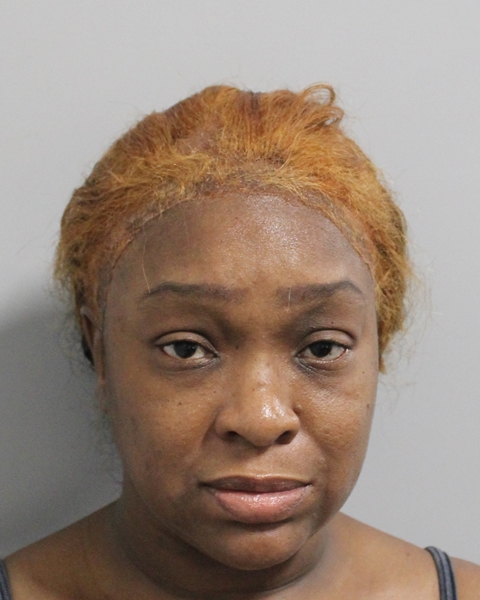 Booking photo of Denese Tucker