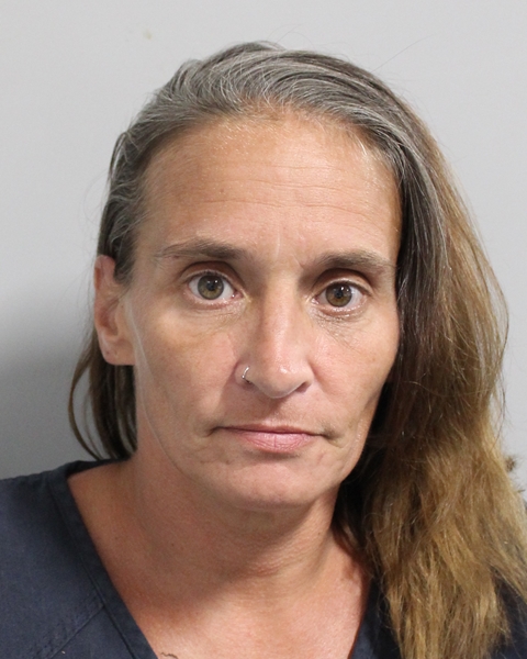 Booking photo of Crystal Davis