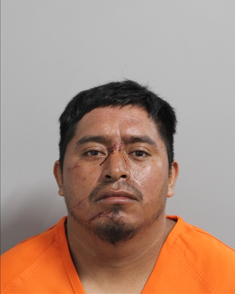 Booking photo of Alvaro Sales Lopez