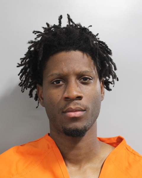 Booking photo of Rhamel Horlback