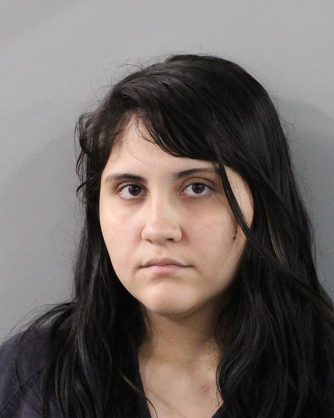 Booking photo of Alanis Burgos Delgado