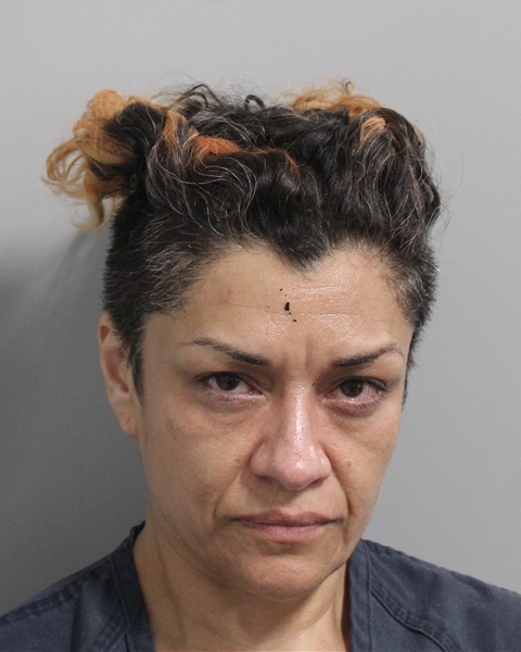 Booking photo of Camela Thomas