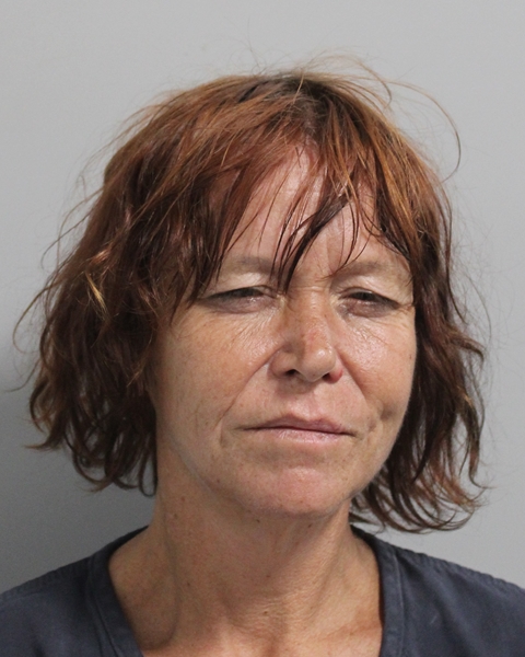 Booking photo of Tonya Knowles