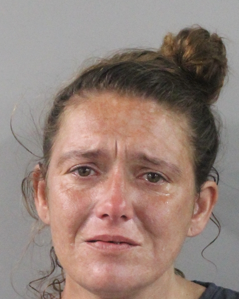 Booking photo of Dianna Bradshaw