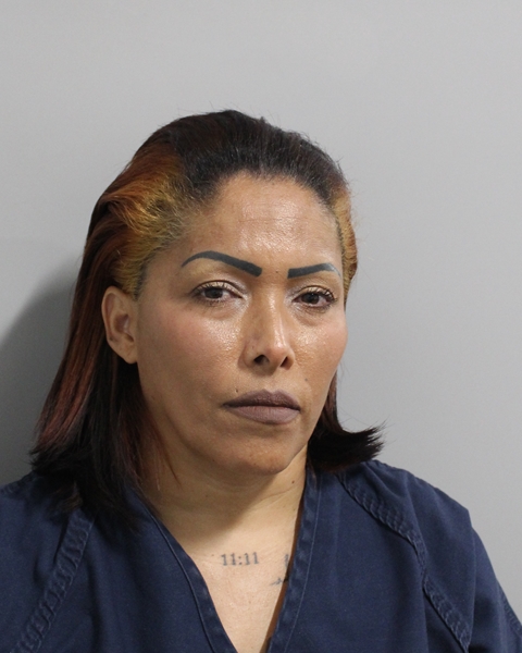 Booking photo of Zenia Morales Santana