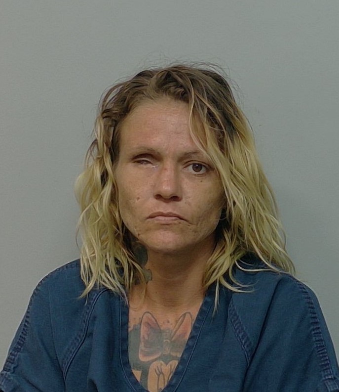 Erika Warnock booking photo