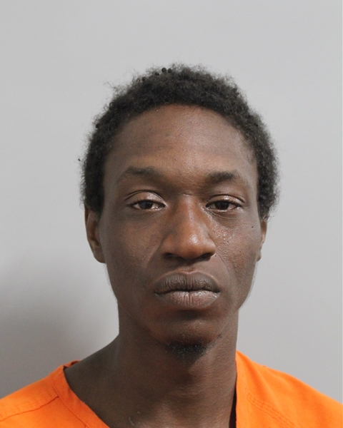 Randall Ogletree booking photo